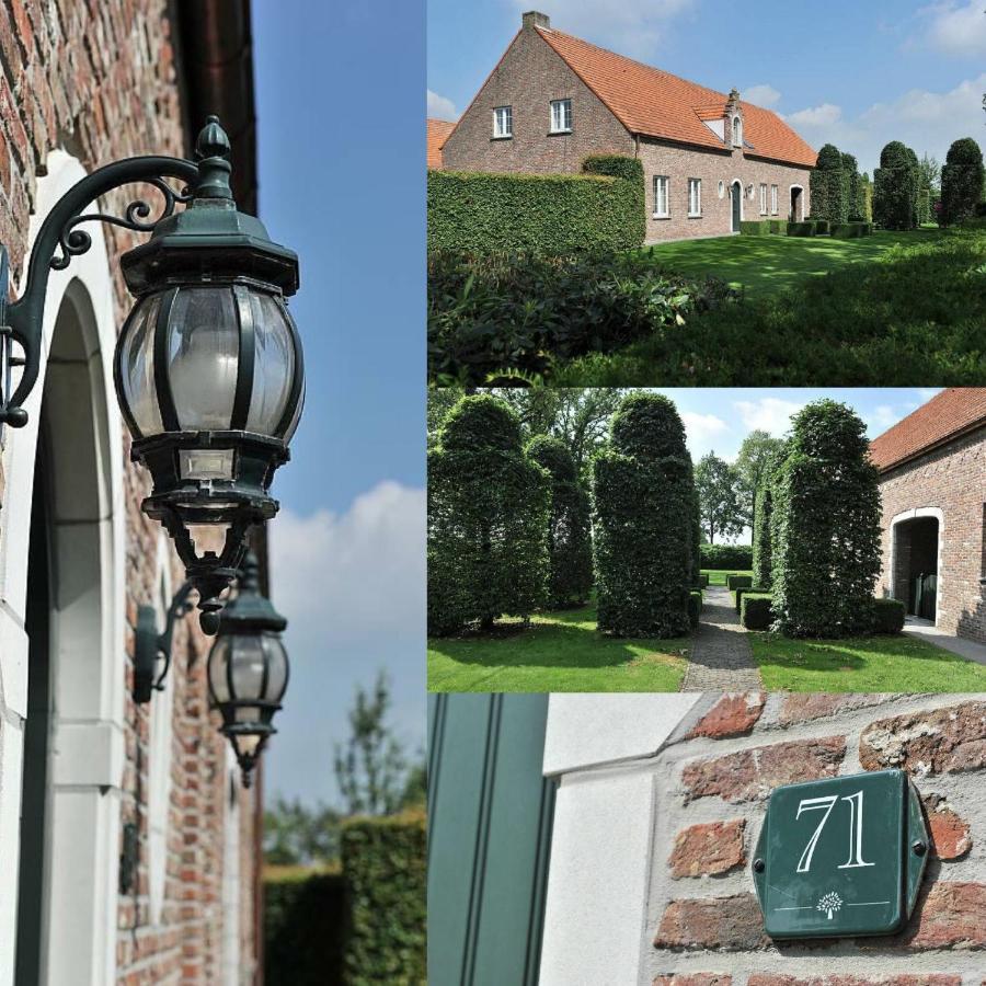 Villa71 Rijkevorsel Buitenkant foto