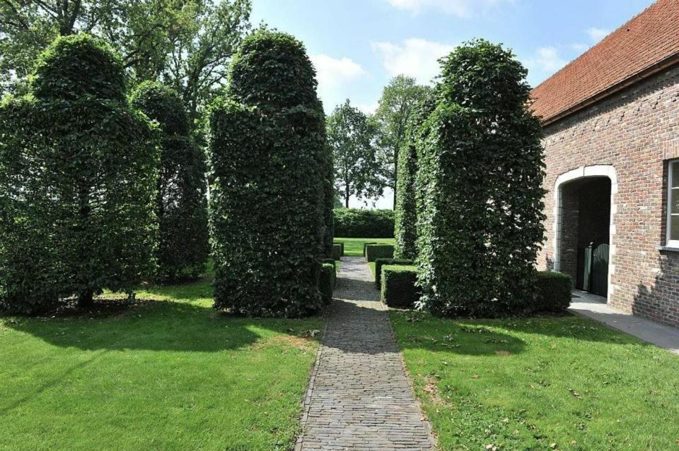 Villa71 Rijkevorsel Buitenkant foto
