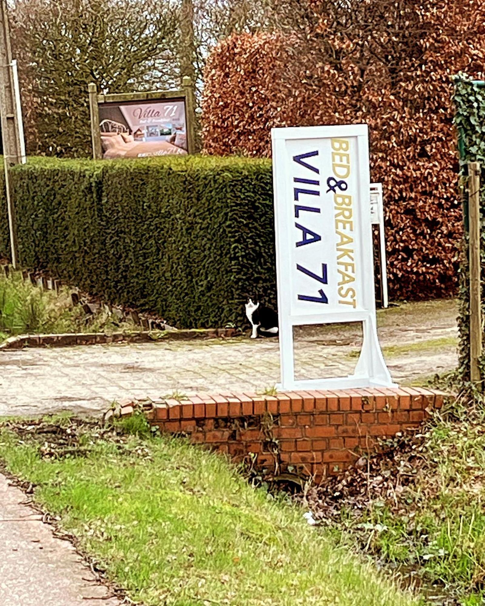 Villa71 Rijkevorsel Buitenkant foto